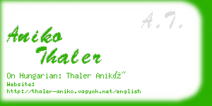 aniko thaler business card